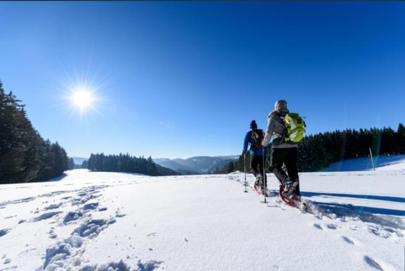 Living Timeless- Black Forest Style- Schoenwald エクステリア 写真