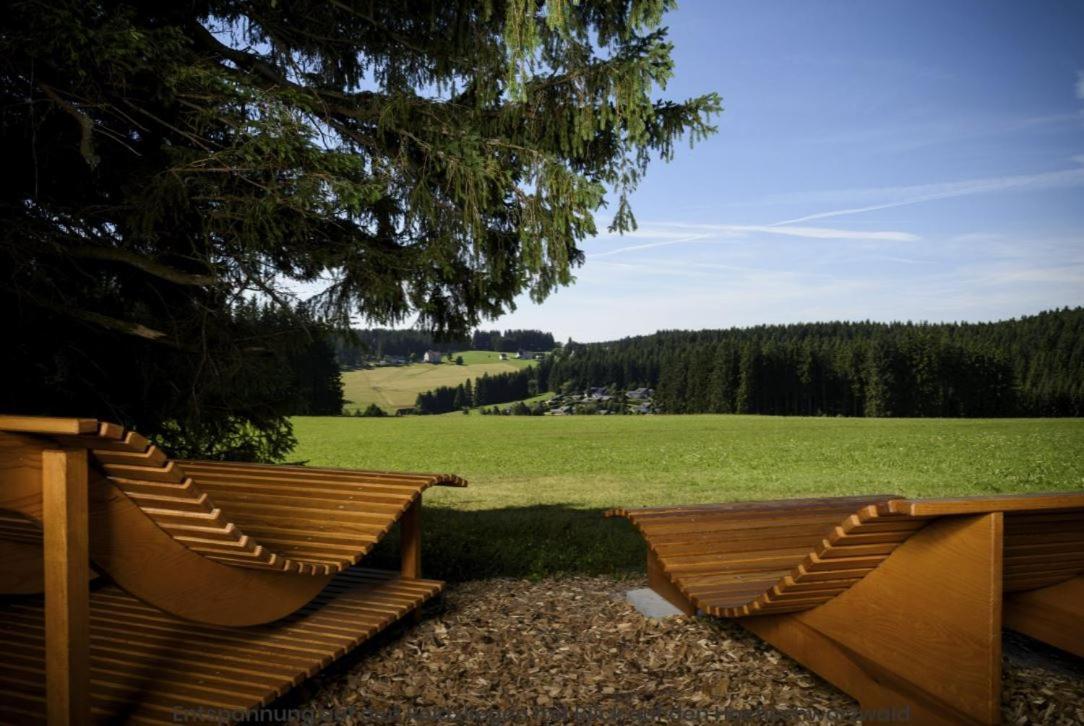 Living Timeless- Black Forest Style- Schoenwald エクステリア 写真
