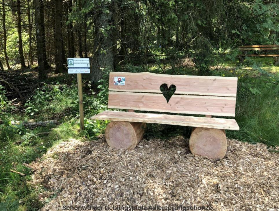 Living Timeless- Black Forest Style- Schoenwald エクステリア 写真